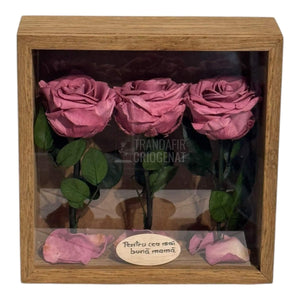 Tablou Cu 3 Trandafiri Criogenați Mov Pudrat În Ramă Din Stejar Masiv Cu Plexiglas Protector Cadou Elegant Și Natural - Trandafir - Criogenat.ro
