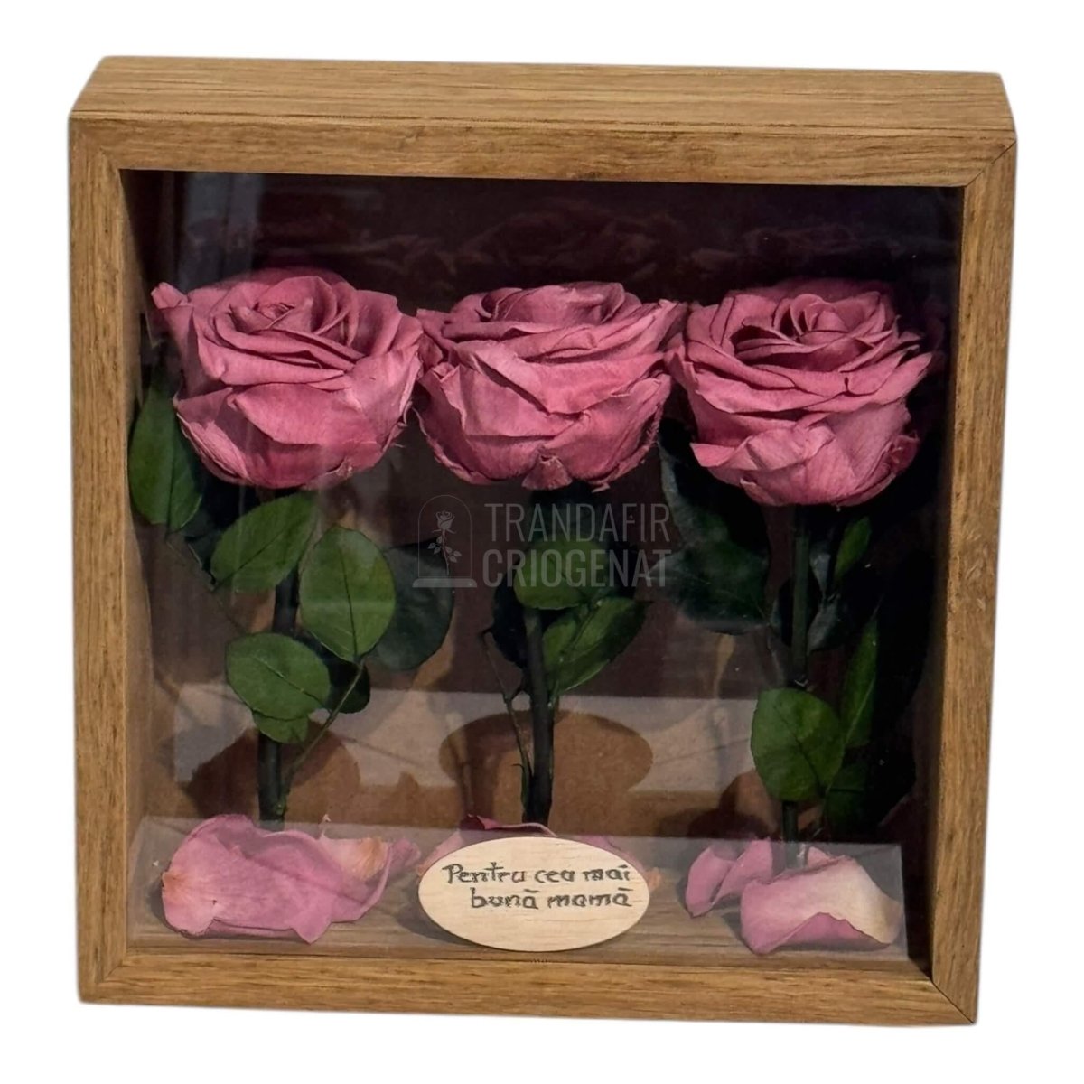 Tablou Cu 3 Trandafiri Criogenați Mov Pudrat În Ramă Din Stejar Masiv Cu Plexiglas Protector Cadou Elegant Și Natural - Trandafir - Criogenat.ro