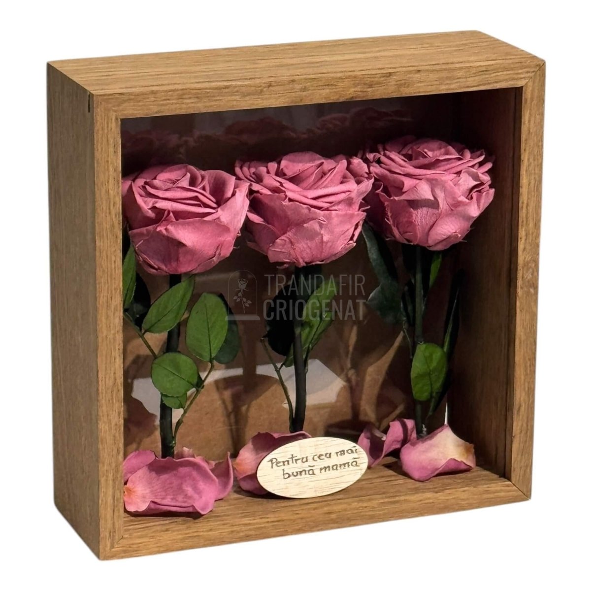Tablou Cu 3 Trandafiri Criogenați Mov Pudrat În Ramă Din Stejar Masiv Cu Plexiglas Protector Cadou Elegant Și Natural - Trandafir - Criogenat.ro