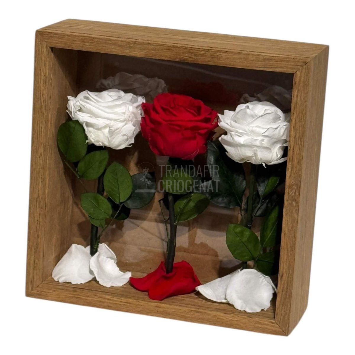 Tablou Cu 3 Trandafiri Criogenați Pe Pat De Petale Eleganță Și Rafinament 27x27cm - Trandafir - Criogenat.ro