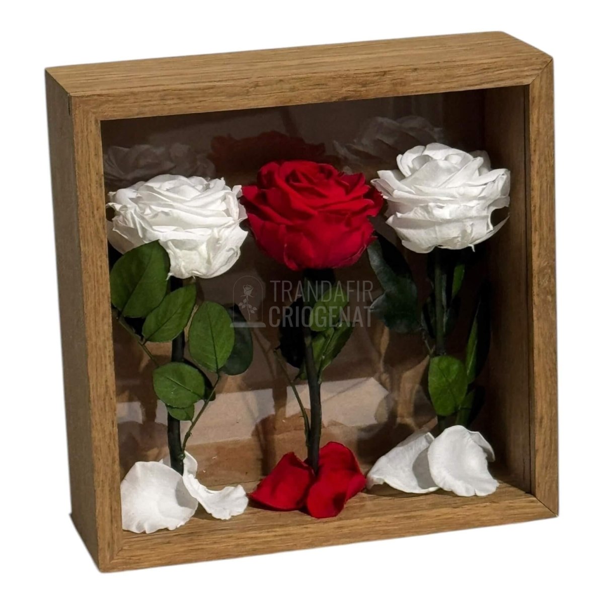 Tablou Cu 3 Trandafiri Criogenați Pe Pat De Petale Eleganță Și Rafinament 27x27cm - Trandafir - Criogenat.ro