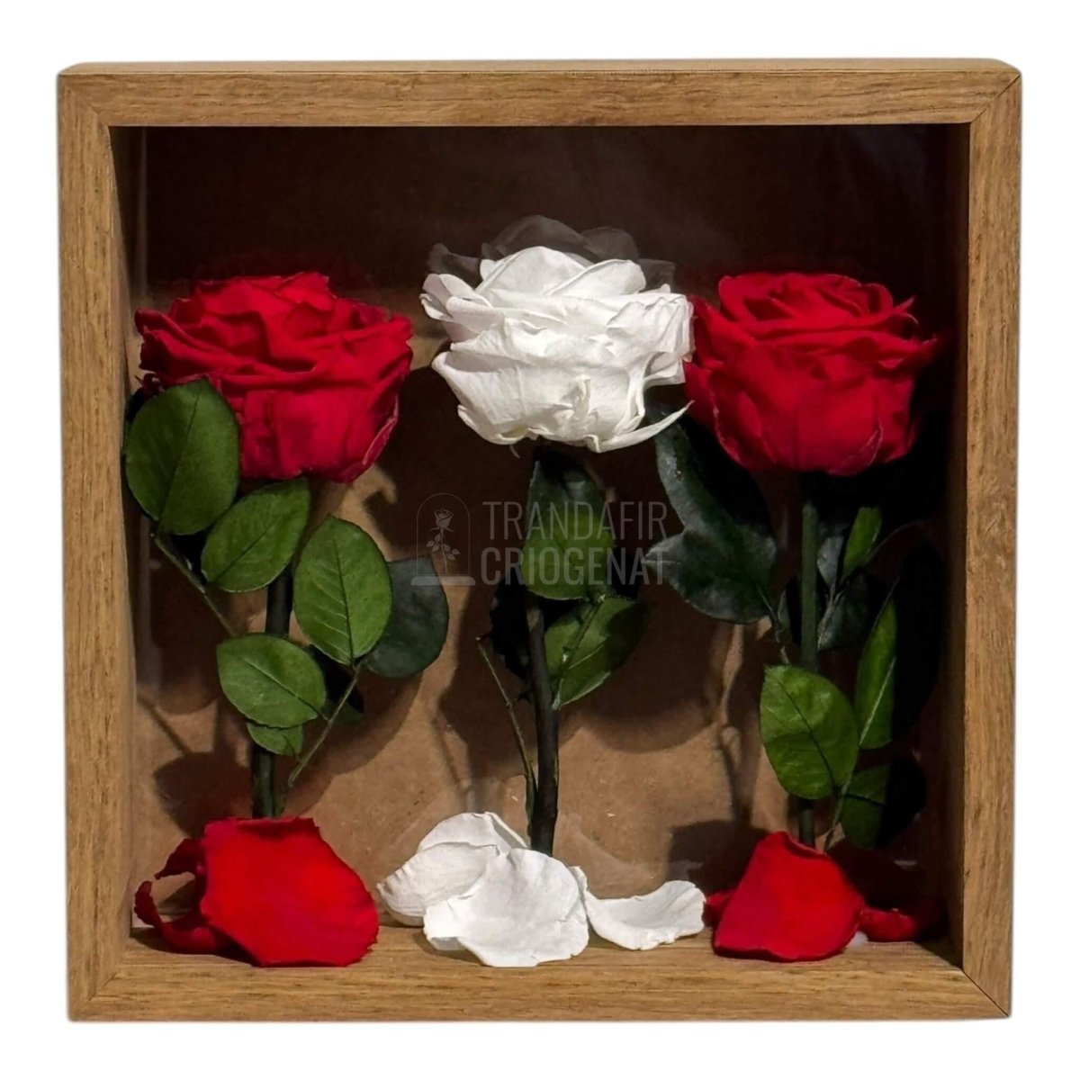 Tablou Cu 3 Trandafiri Criogenați Simbol Al Iubirii Și Purității Realizat Manual Cu Petale Naturale Dimensiune 27x27 cm - Trandafir - Criogenat.ro