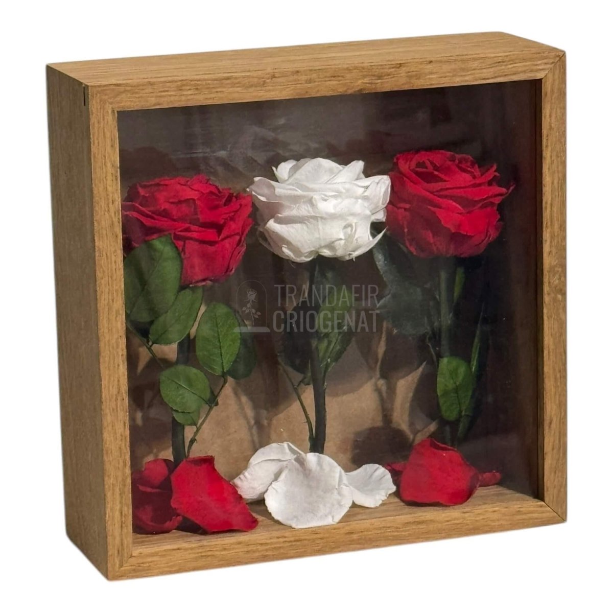 Tablou Cu 3 Trandafiri Criogenați Simbol Al Iubirii Și Purității Realizat Manual Cu Petale Naturale Dimensiune 27x27 cm - Trandafir - Criogenat.ro