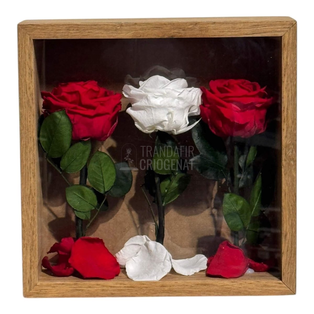 Tablou Cu 3 Trandafiri Criogenați Simbol Al Iubirii Și Purității Realizat Manual Cu Petale Naturale Dimensiune 27x27 cm - Trandafir - Criogenat.ro