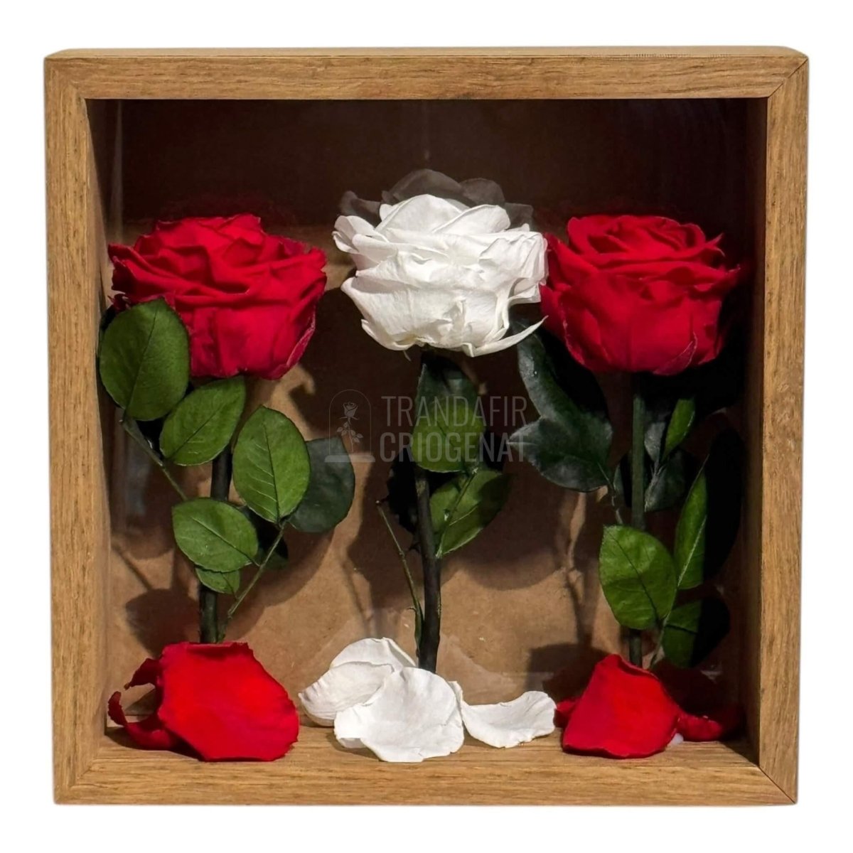 Tablou Cu 3 Trandafiri Criogenați Simbol Al Iubirii Și Purității Realizat Manual Cu Petale Naturale Dimensiune 27x27 cm - Trandafir - Criogenat.ro