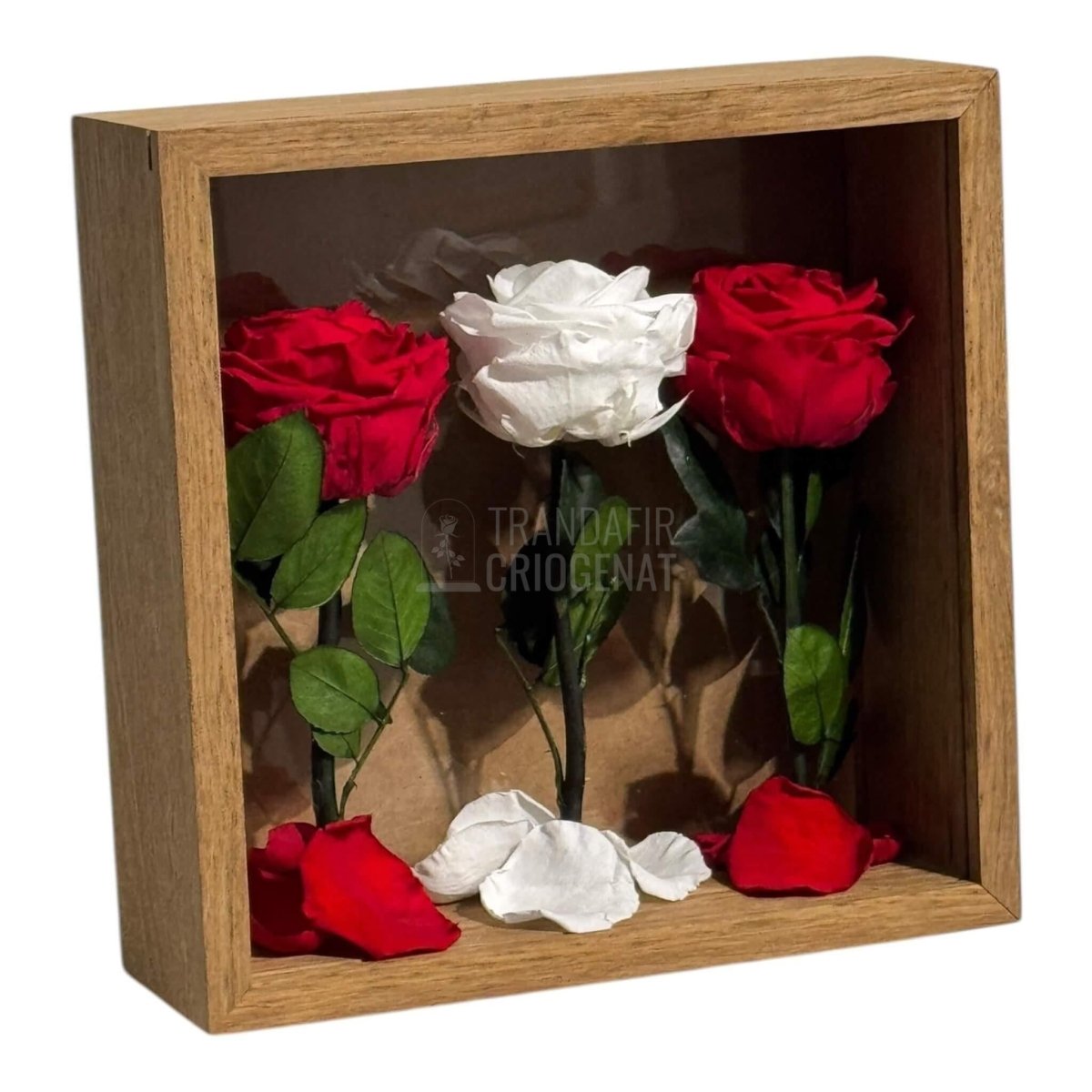 Tablou Cu 3 Trandafiri Criogenați Simbol Al Iubirii Și Purității Realizat Manual Cu Petale Naturale Dimensiune 27x27 cm - Trandafir - Criogenat.ro