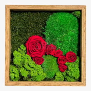 Tablou Cu Mușchi Licheni Și Trandafiri Criogenați Decor Natural Și Elegant Ramă Din Lemn De Stejar 27x27cm - Trandafir - Criogenat.ro