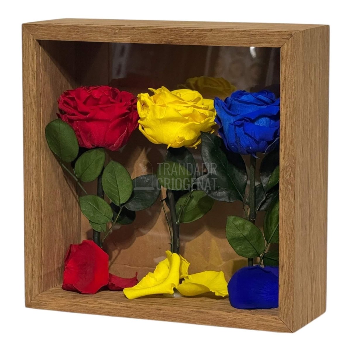 Tablou Cu Trandafiri Criogenați În Culorile României 27x27 Cm Simbol De Patriotism Și Eleganță Decor Premium - Trandafir - Criogenat.ro