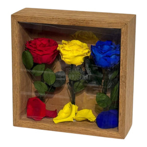 Tablou Cu Trandafiri Criogenați În Culorile României 27x27 Cm Simbol De Patriotism Și Eleganță Decor Premium - Trandafir - Criogenat.ro