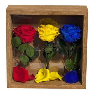 Tablou Cu Trandafiri Criogenați În Culorile României 27x27 Cm Simbol De Patriotism Și Eleganță Decor Premium - Trandafir - Criogenat.ro