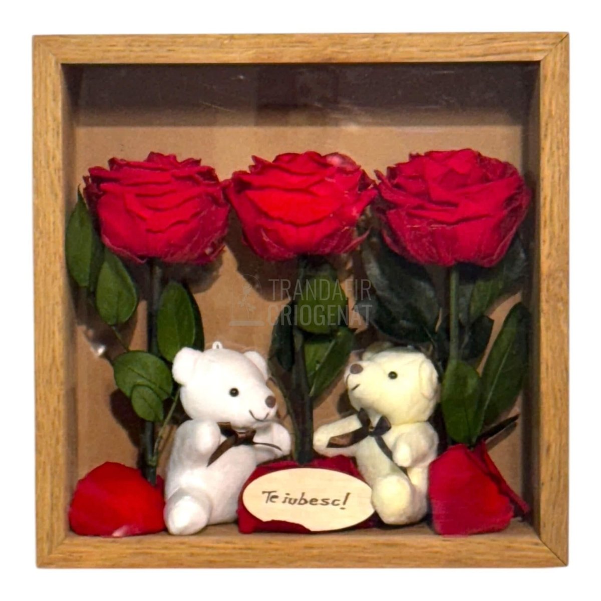 Tablou Elegant Cu Trandafiri Criogenați Roșii Și Urși De Plus Cadou Emoțional Pentru Iubire Dimensiuni 27x27 Cm - Trandafir - Criogenat.ro