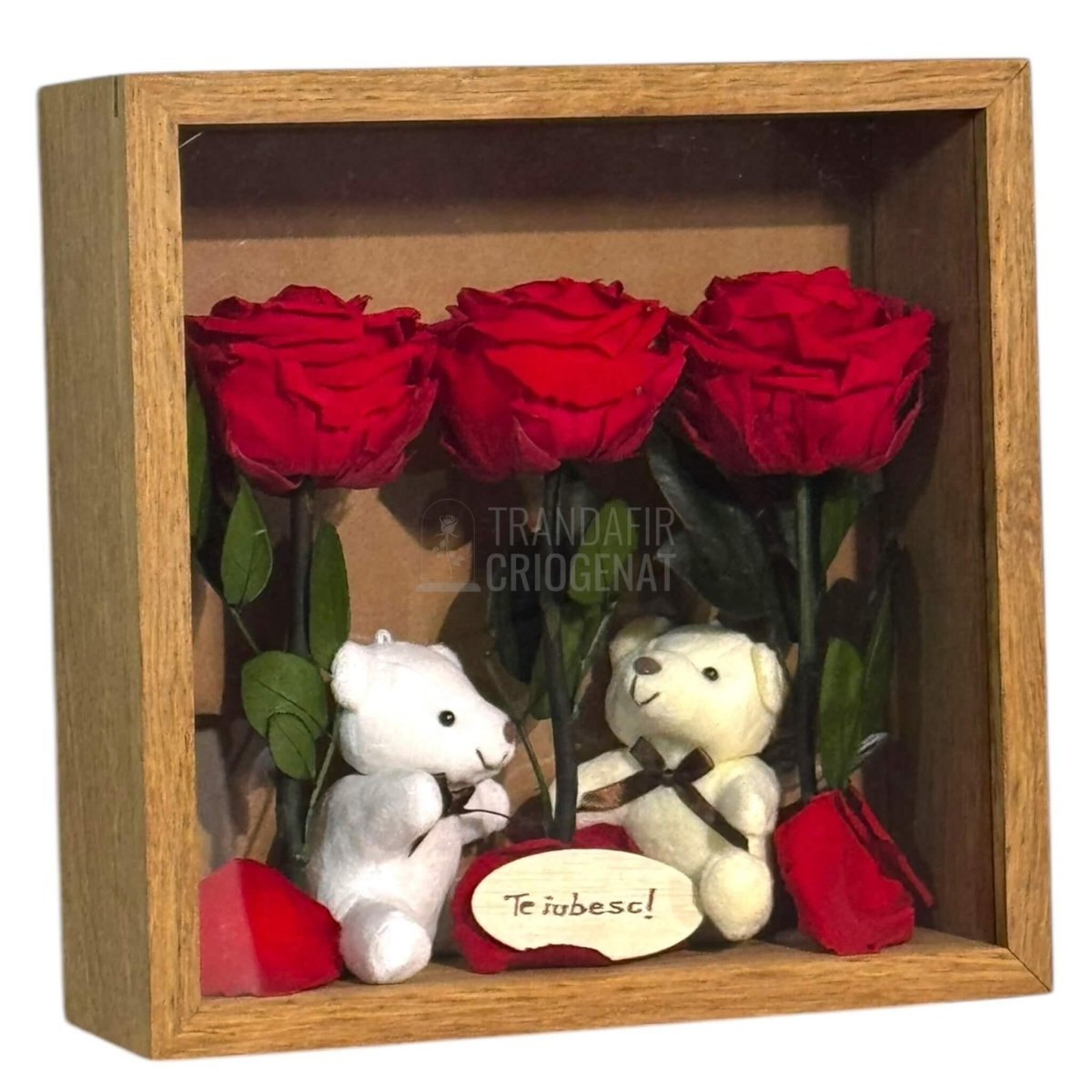 Tablou Elegant Cu Trandafiri Criogenați Roșii Și Urși De Plus Cadou Emoțional Pentru Iubire Dimensiuni 27x27 Cm - Trandafir - Criogenat.ro