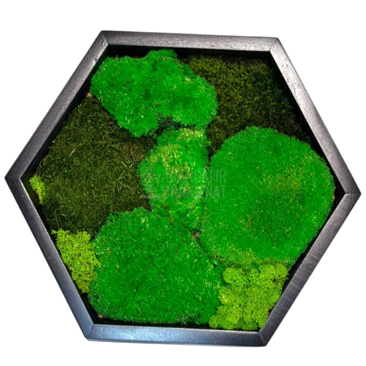Tablou Hexagonal Cu Mușchi Bombat Mușchi Plat Stabilizat Și Licheni Decorativi Stabilizați Decor Natural Elegant - Trandafir - Criogenat.ro