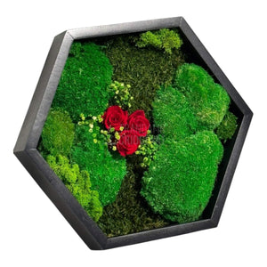 Tablou Hexagonal Cu Mușchi Licheni Și 3 Trandafiri Criogenați Roșii În Ramă Premium 35 cm - Trandafir - Criogenat.ro
