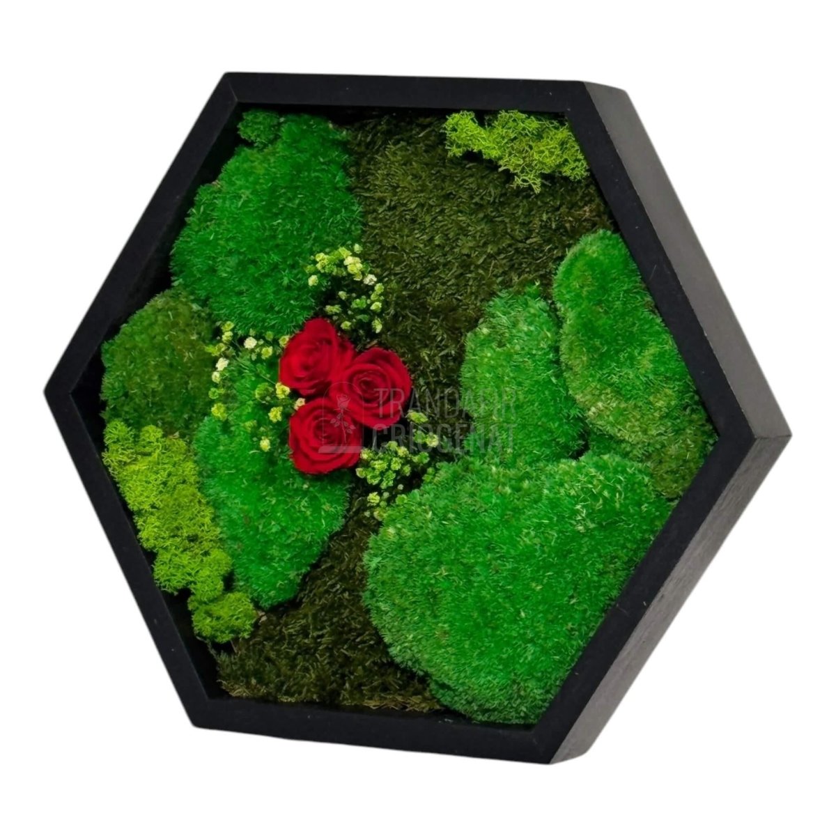 Tablou Hexagonal Cu Mușchi Licheni Și 3 Trandafiri Criogenați Roșii În Ramă Premium 35 cm - Trandafir - Criogenat.ro