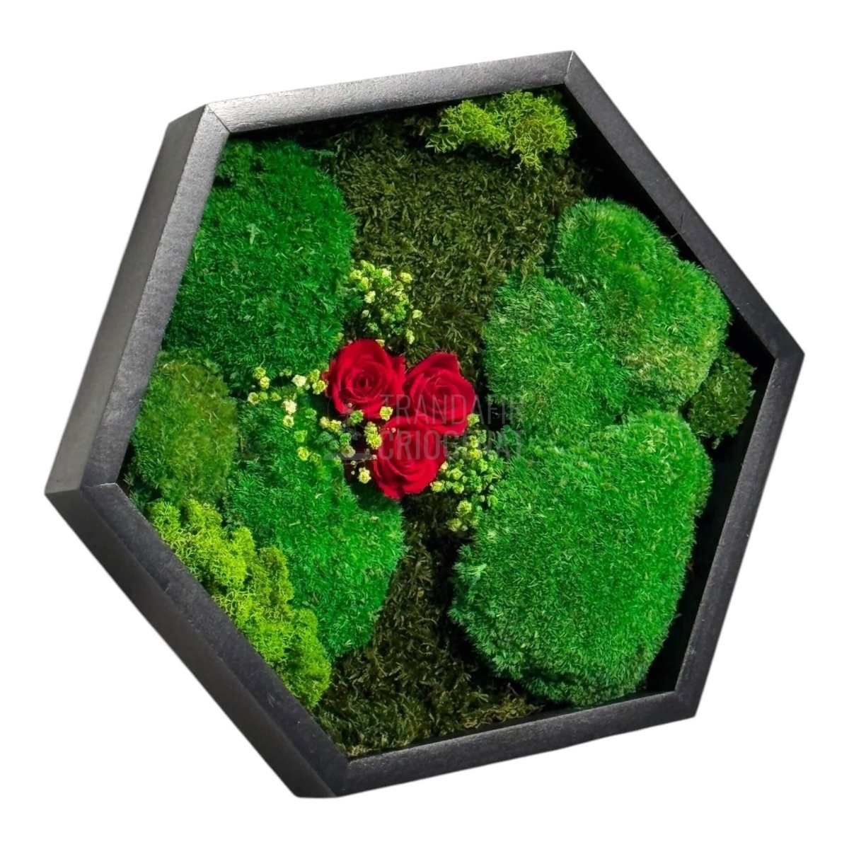 Tablou Hexagonal Cu Mușchi Licheni Și 3 Trandafiri Criogenați Roșii În Ramă Premium 35 cm - Trandafir - Criogenat.ro