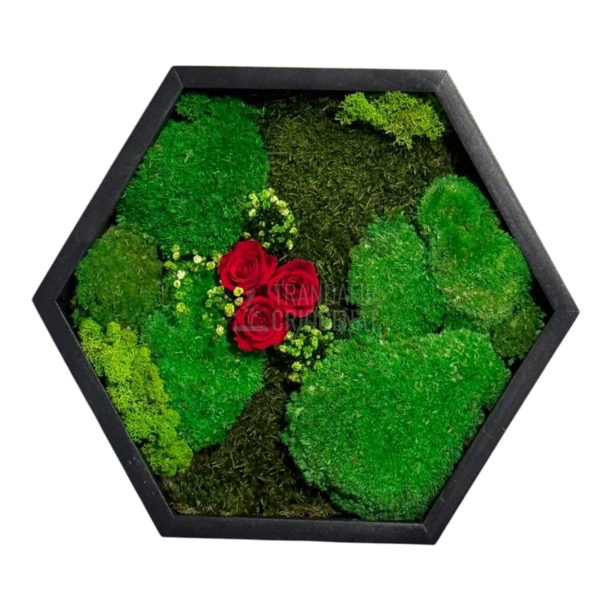 Tablou Hexagonal Cu Mușchi Licheni Și 3 Trandafiri Criogenați Roșii În Ramă Premium 35 cm - Trandafir - Criogenat.ro