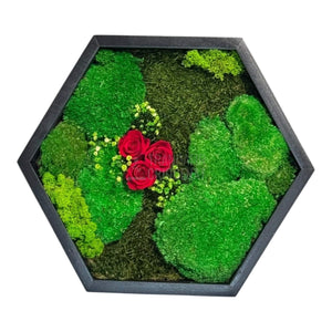 Tablou Hexagonal Cu Mușchi Licheni Și 3 Trandafiri Criogenați Roșii În Ramă Premium 35 cm - Trandafir - Criogenat.ro