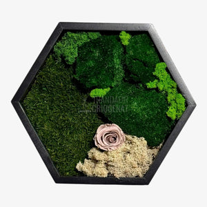 Tablou Hexagonal Cu Mușchi Licheni Și Trandafir Criogenat Eleganță Naturală În Ramă Modernă De 35 Cm - Trandafir - Criogenat.ro
