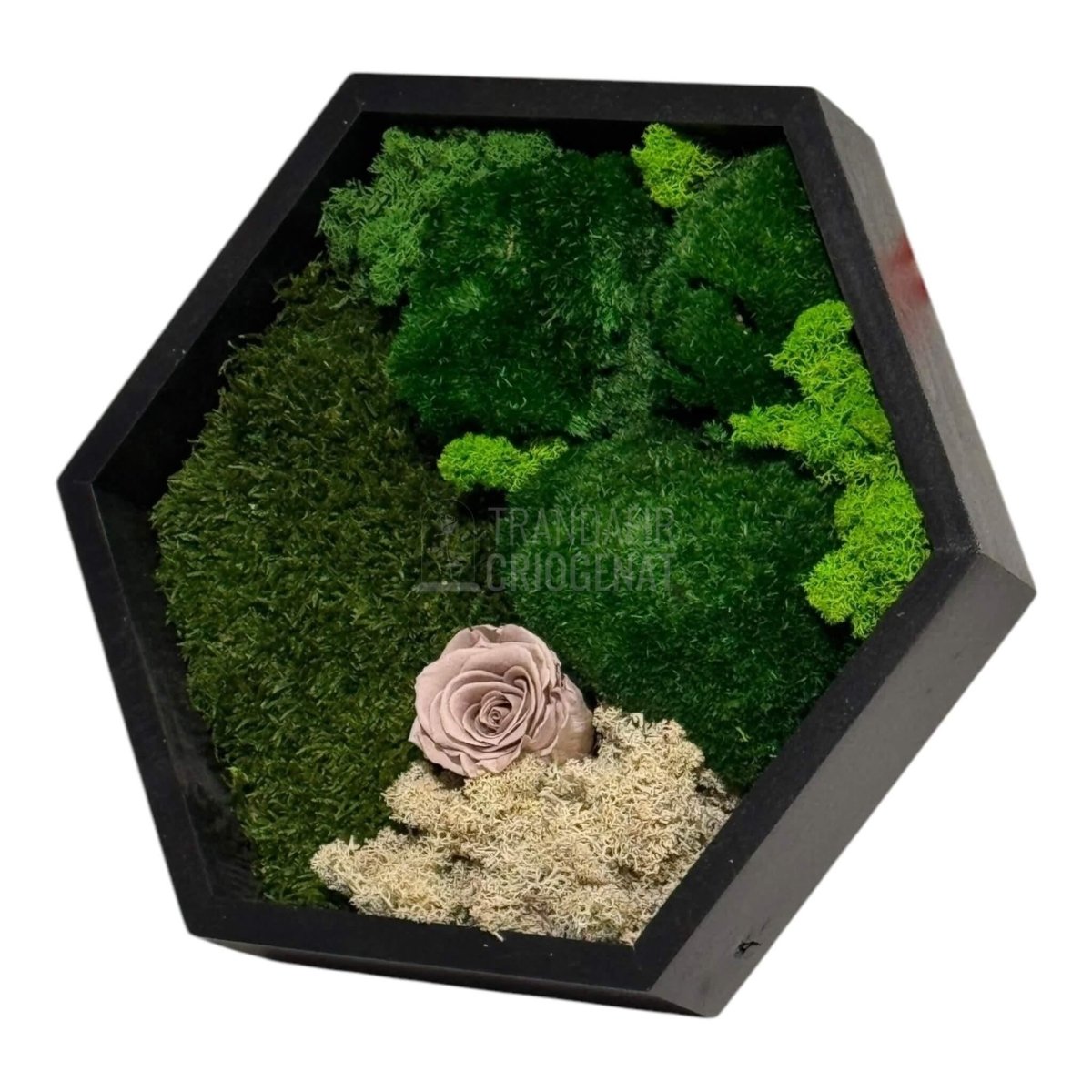 Tablou Hexagonal Cu Mușchi Licheni Și Trandafir Criogenat Eleganță Naturală În Ramă Modernă De 35 Cm - Trandafir - Criogenat.ro