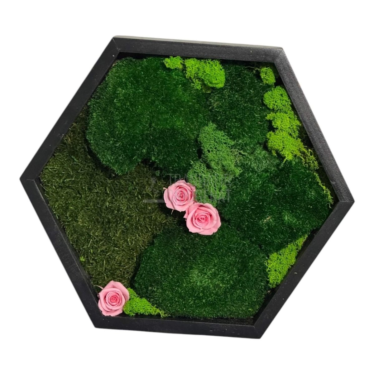 Tablou Hexagonal Cu Mușchi Licheni Trandafiri Criogenați Roz Natură Eleganță Diametru 35 cm - Trandafir - Criogenat.ro