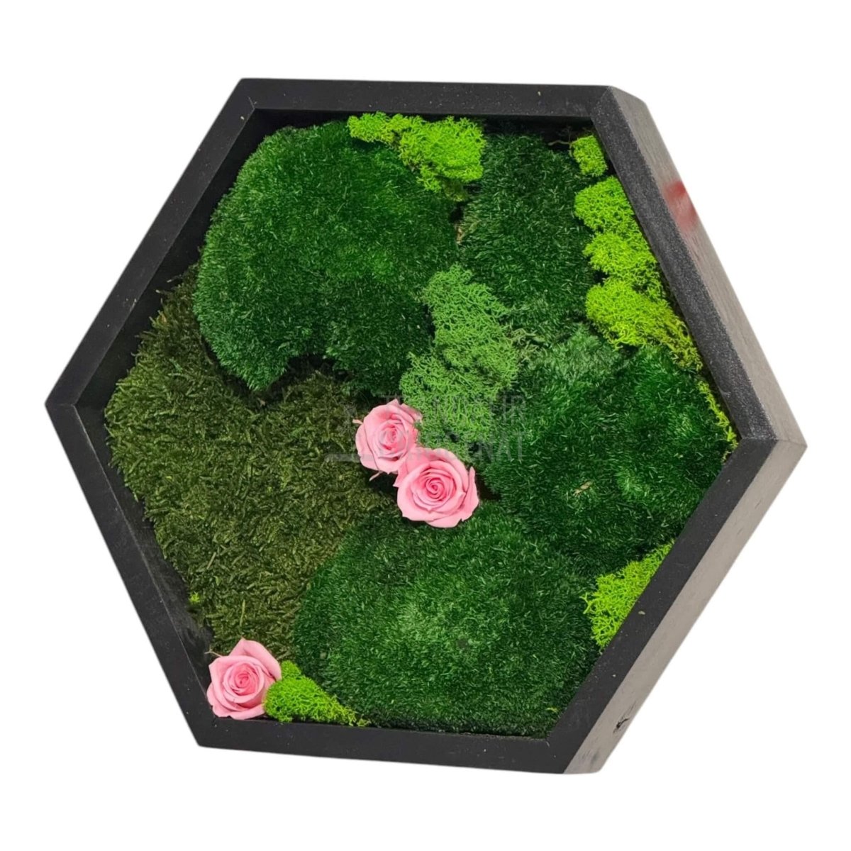 Tablou Hexagonal Cu Mușchi Licheni Trandafiri Criogenați Roz Natură Eleganță Diametru 35 cm - Trandafir - Criogenat.ro