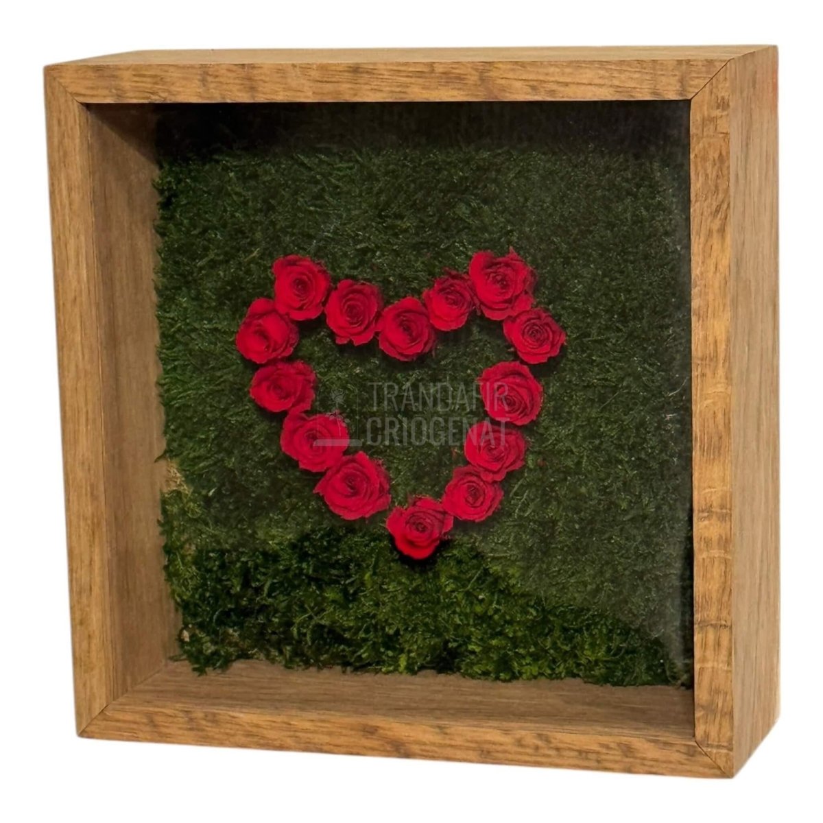 Tablou Inimă Cu Trandafiri Criogenați Și Mușchi Stabilizat Simbol Al Iubirii Nemuritoare 27x27cm - Trandafir - Criogenat.ro