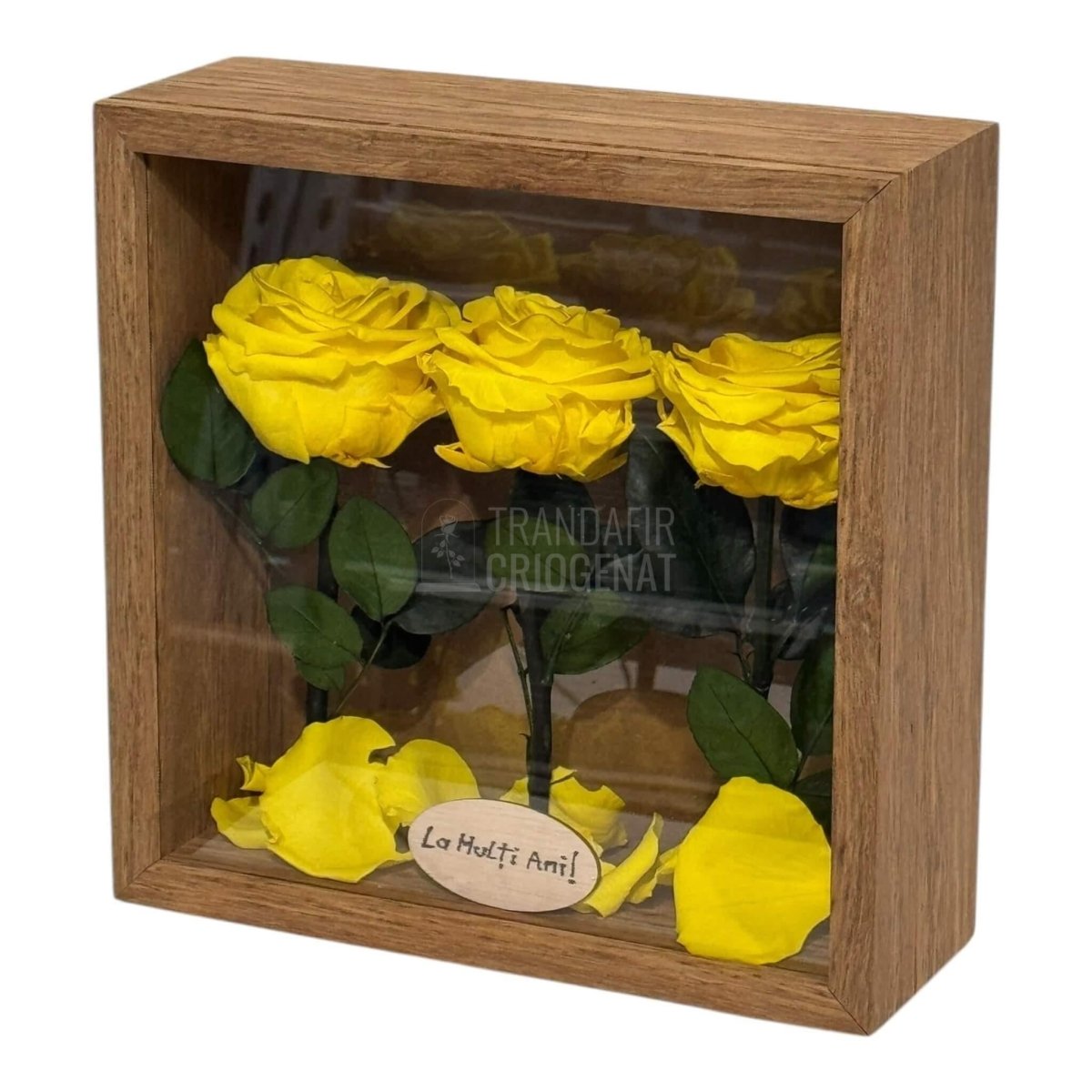 Tablou Natural 27x27 cm Cu 3 Trandafiri Criogenați Galbeni Premium În Ramă Din Stejar Masiv - Trandafir - Criogenat.ro