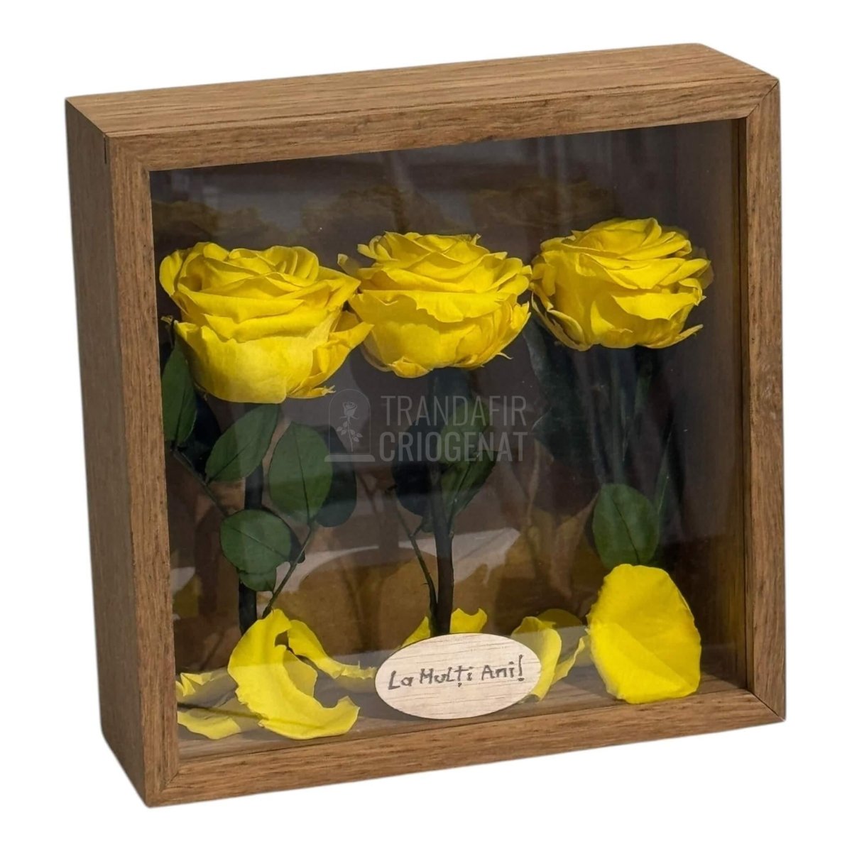 Tablou Natural 27x27 cm Cu 3 Trandafiri Criogenați Galbeni Premium În Ramă Din Stejar Masiv - Trandafir - Criogenat.ro