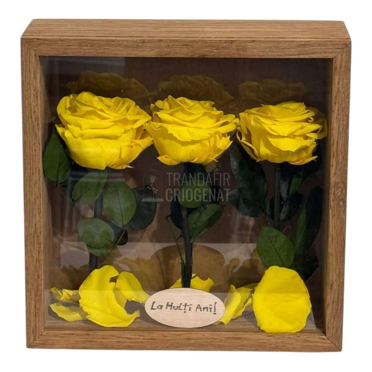 Tablou Natural 27x27 cm Cu 3 Trandafiri Criogenați Galbeni Premium În Ramă Din Stejar Masiv - Trandafir - Criogenat.ro