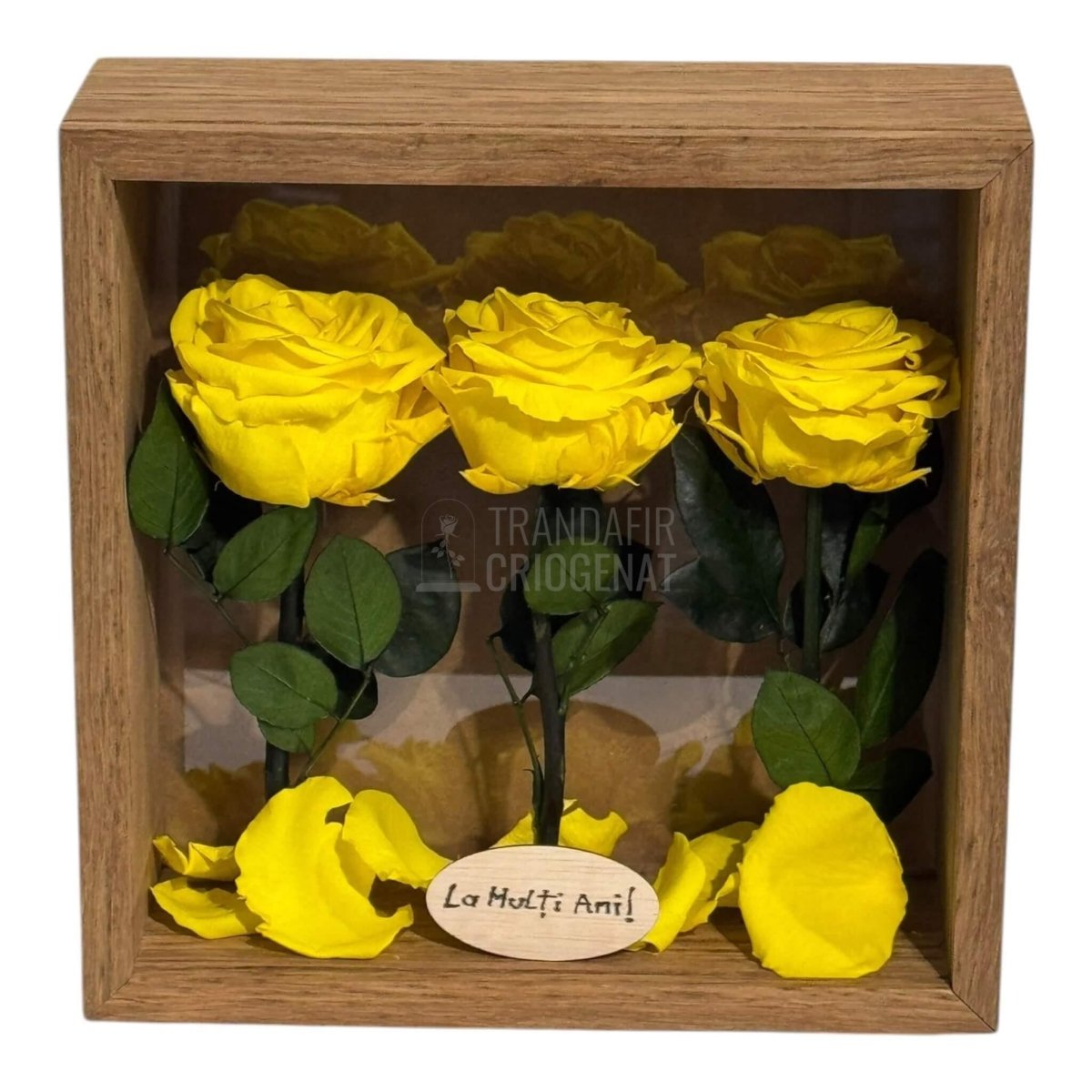 Tablou Natural 27x27 cm Cu 3 Trandafiri Criogenați Galbeni Premium În Ramă Din Stejar Masiv - Trandafir - Criogenat.ro