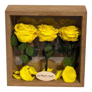 Tablou Natural 27x27 cm Cu 3 Trandafiri Criogenați Galbeni Premium În Ramă Din Stejar Masiv - Trandafir - Criogenat.ro