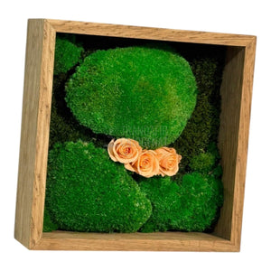 Tablou Natural 27x27 cm cu Mușchi Bombat și Plat Stabilizat cu 3 Trandafiri Criogenați Piersică - Trandafir - Criogenat.ro