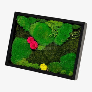 Tablou Natural 30x40 Cm Cu Mușchi Stabilizat Licheni Decorativi Și Trandafiri Criogenați În Rama Neagră - Trandafir - Criogenat.ro