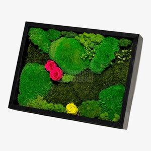 Tablou Natural 30x40 Cm Cu Mușchi Stabilizat Licheni Decorativi Și Trandafiri Criogenați În Rama Neagră - Trandafir - Criogenat.ro