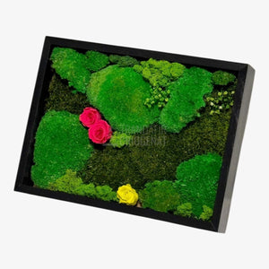 Tablou Natural 30x40 Cm Cu Mușchi Stabilizat Licheni Decorativi Și Trandafiri Criogenați În Rama Neagră - Trandafir - Criogenat.ro