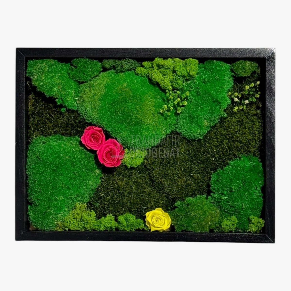 Tablou Natural 30x40 Cm Cu Mușchi Stabilizat Licheni Decorativi Și Trandafiri Criogenați În Rama Neagră - Trandafir - Criogenat.ro
