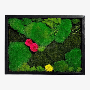 Tablou Natural 30x40 Cm Cu Mușchi Stabilizat Licheni Decorativi Și Trandafiri Criogenați În Rama Neagră - Trandafir - Criogenat.ro