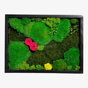 Tablou Natural 30x40 Cm Cu Mușchi Stabilizat Licheni Decorativi Și Trandafiri Criogenați În Rama Neagră - Trandafir - Criogenat.ro