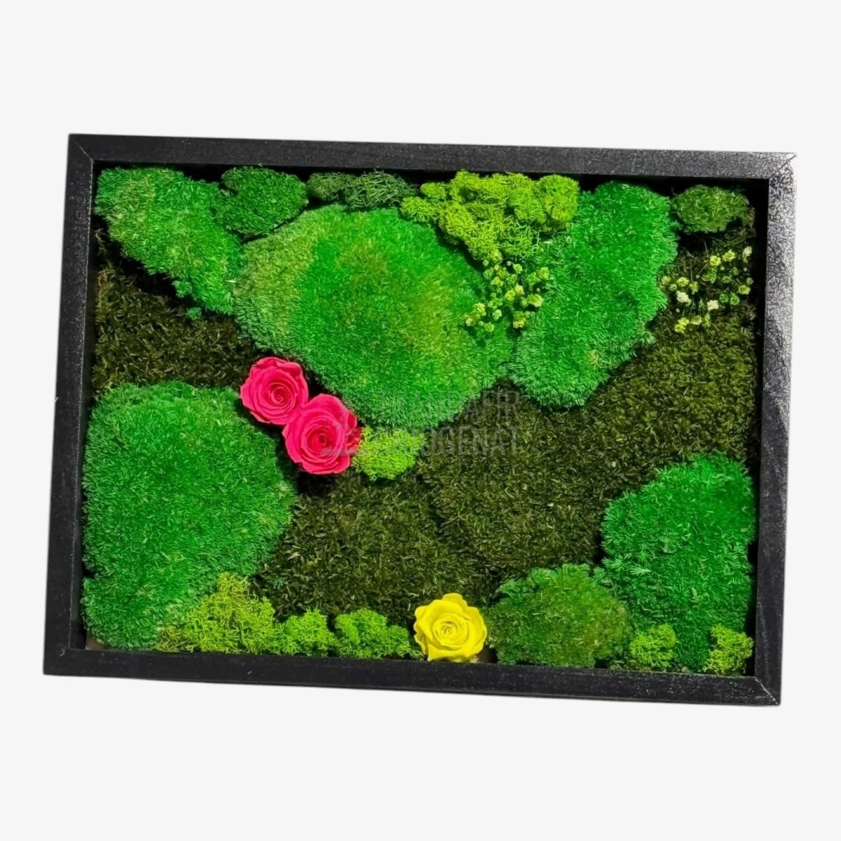 Tablou Natural 30x40 Cm Cu Mușchi Stabilizat Licheni Decorativi Și Trandafiri Criogenați În Rama Neagră - Trandafir - Criogenat.ro