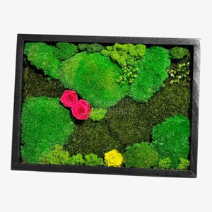 Tablou Natural 30x40 Cm Cu Mușchi Stabilizat Licheni Decorativi Și Trandafiri Criogenați În Rama Neagră - Trandafir - Criogenat.ro