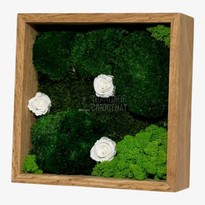 Tablou Natural Cu 3 Trandafiri Criogenați Albi Mușchi Și Licheni Ramă Stejar Masiv 27x27 Cm Elegant - Trandafir - Criogenat.ro