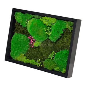 Tablou Natural Cu Mușchi Bombat Stabilizat Și Mușchi Plat Stabilizat Licheni Decorativi Naturali 30x40 Cm - Trandafir - Criogenat.ro