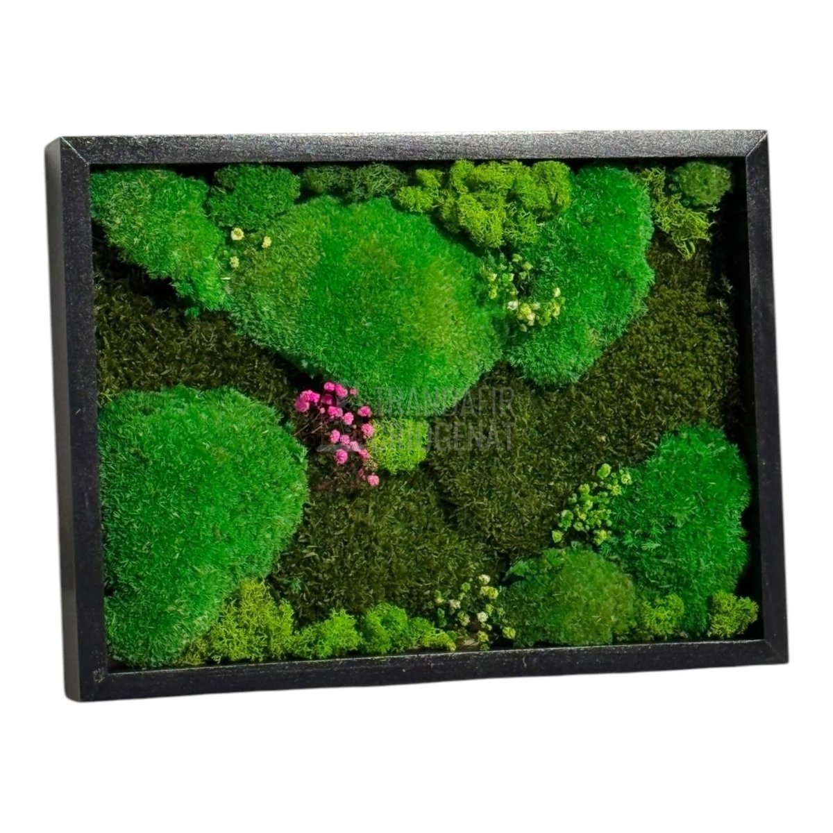 Tablou Natural Cu Mușchi Bombat Stabilizat Și Mușchi Plat Stabilizat Licheni Decorativi Naturali 30x40 Cm - Trandafir - Criogenat.ro