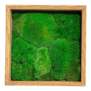 Tablou Natural Cu Mușchi Bombat Stabilizat Verde Viu Fără Întreținere Pentru Decor Interior Elegant - Trandafir - Criogenat.ro