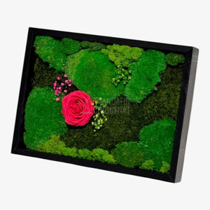 Tablou Natural Cu Mușchi Licheni Și Trandafir Criogenat Roz Închis 30x40 Cm Decor Elegant Pentru Sufragerie Sau Birou - Trandafir - Criogenat.ro