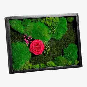 Tablou Natural Cu Mușchi Licheni Și Trandafir Criogenat Roz Închis 30x40 Cm Decor Elegant Pentru Sufragerie Sau Birou - Trandafir - Criogenat.ro