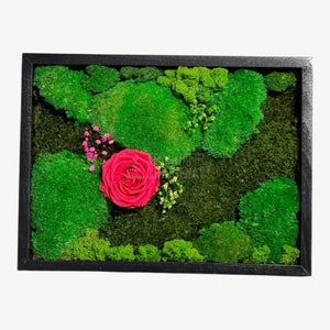 Tablou Natural Cu Mușchi Licheni Și Trandafir Criogenat Roz Închis 30x40 Cm Decor Elegant Pentru Sufragerie Sau Birou - Trandafir - Criogenat.ro