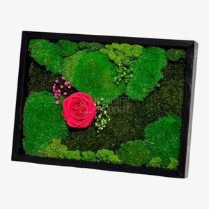 Tablou Natural Cu Mușchi Licheni Și Trandafir Criogenat Roz Închis 30x40 Cm Decor Elegant Pentru Sufragerie Sau Birou - Trandafir - Criogenat.ro