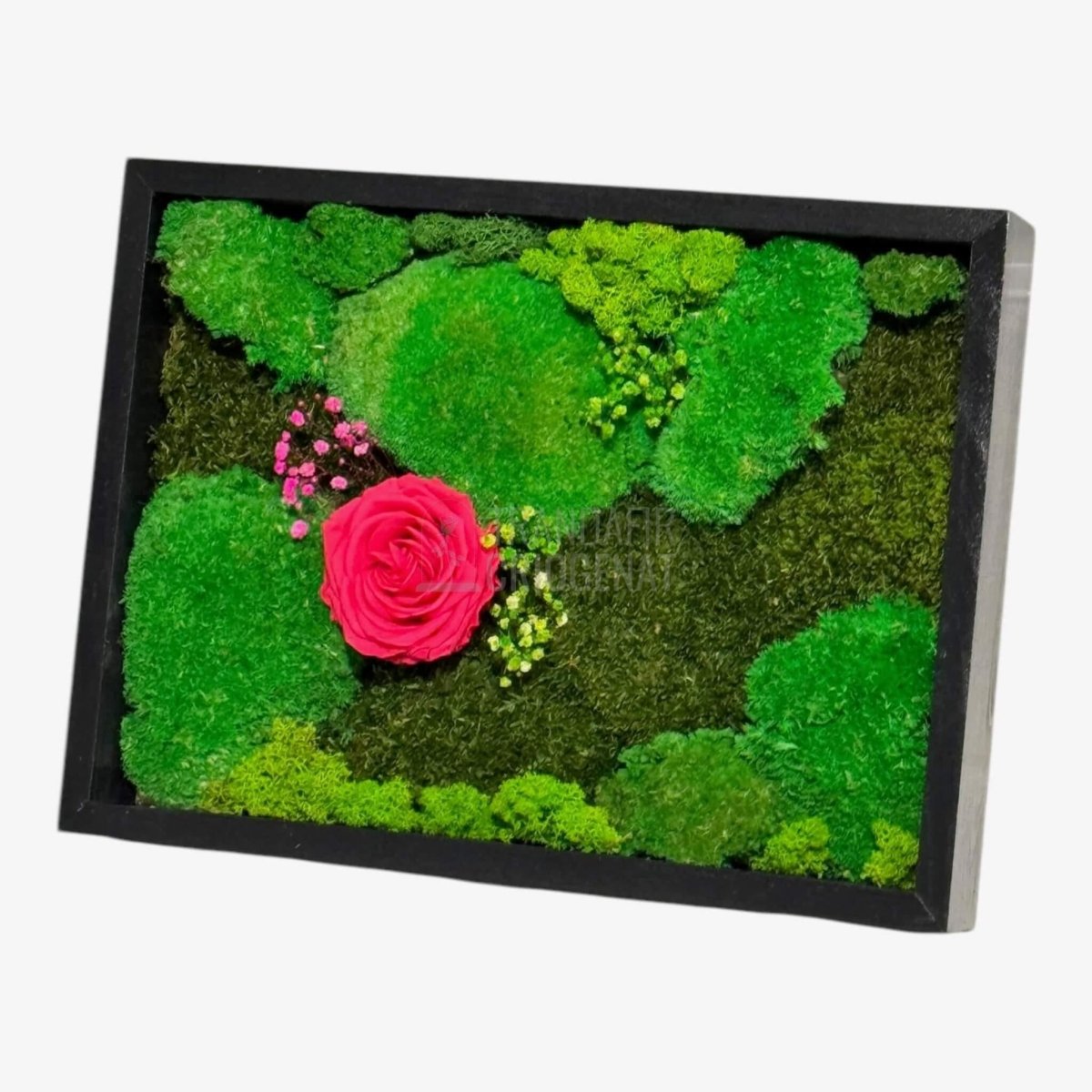 Tablou Natural Cu Mușchi Licheni Și Trandafir Criogenat Roz Închis 30x40 Cm Decor Elegant Pentru Sufragerie Sau Birou - Trandafir - Criogenat.ro